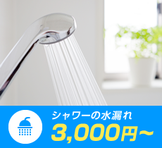 シャワーの水漏れ 3,000円～